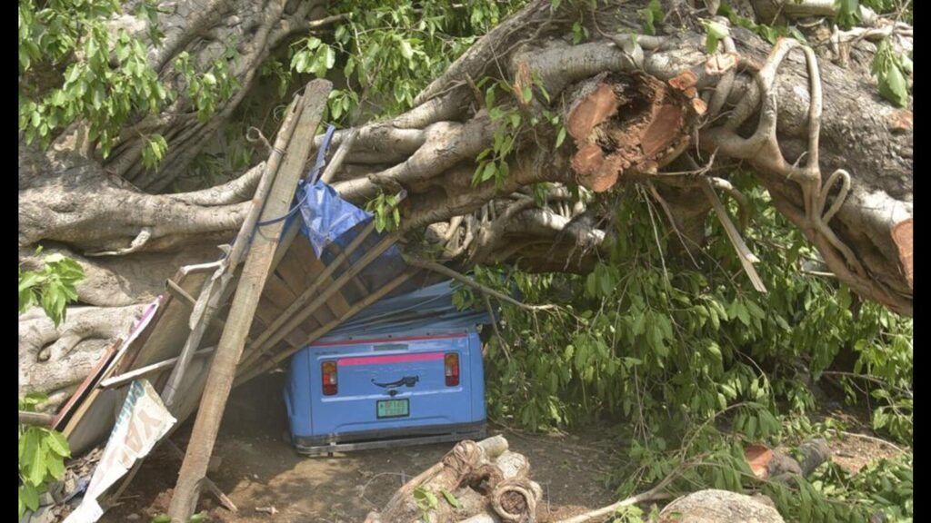 56 dead as rain, storm wreak havoc in U.P.