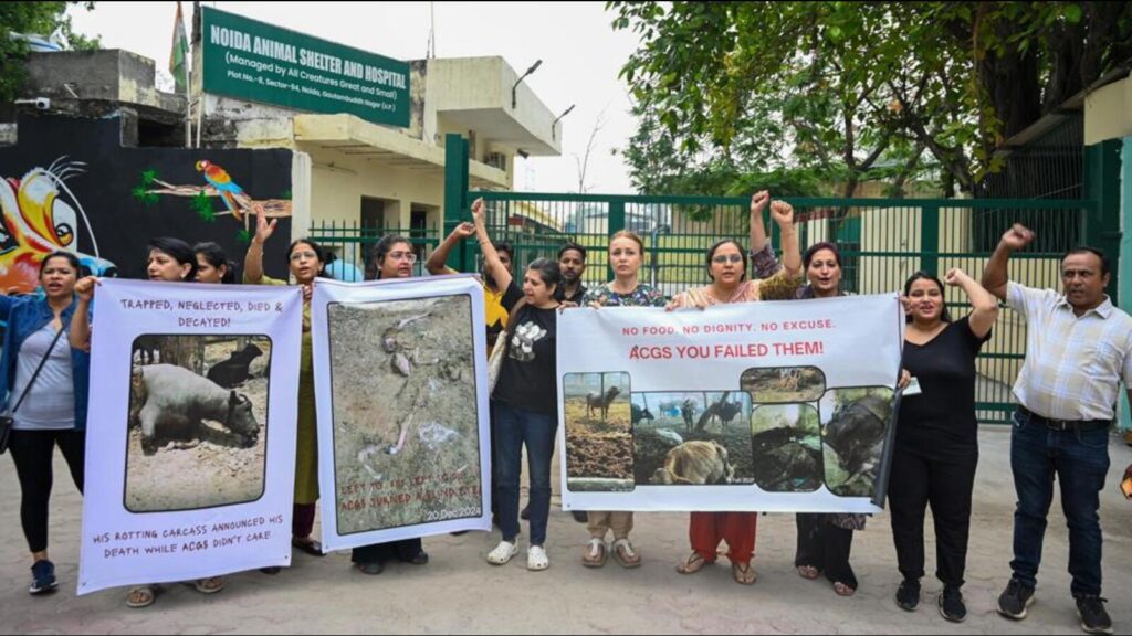 Activists protest outside Noida animal shelter, allege cruelty mismanagement