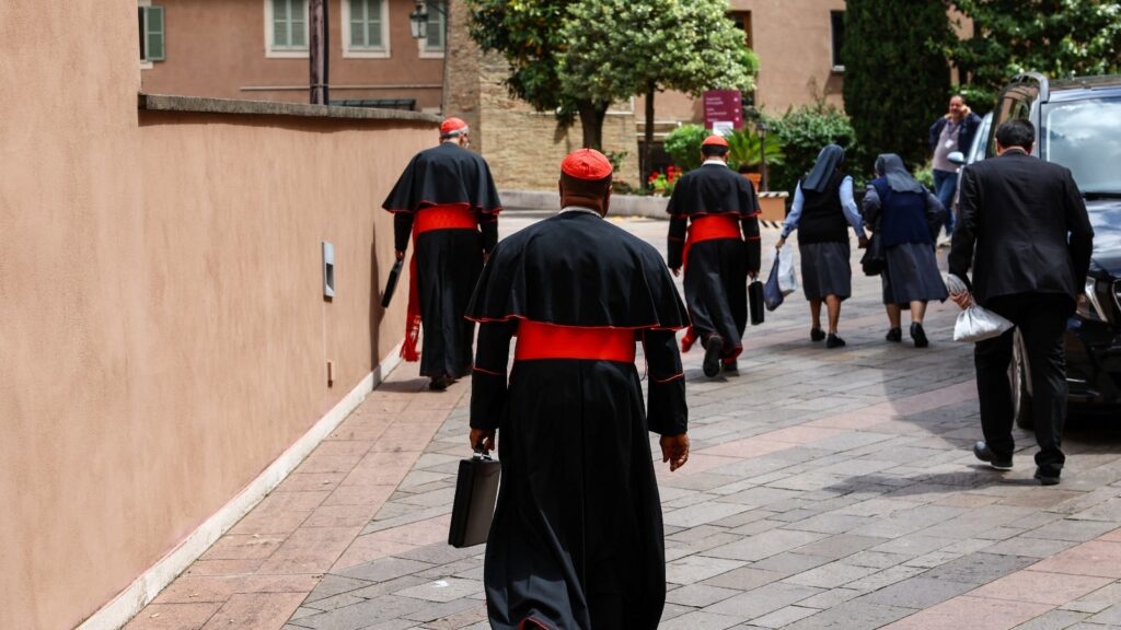 All 133 cardinals gather in Rome to elect Pope Francis’ successor | World News