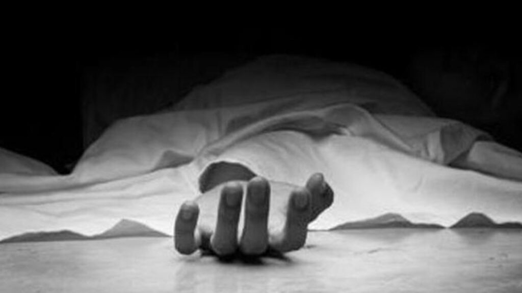 Bengaluru biker killed as uprooted tree falls on two-wheeler during rain, another injured: Report | Bengaluru