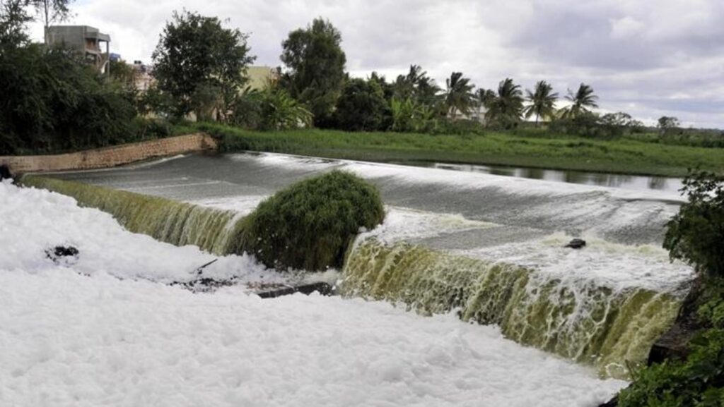 Bengaluru’s Bellandur lake gets ₹79 crore boost for rejuvenation efforts: Report | Bengaluru