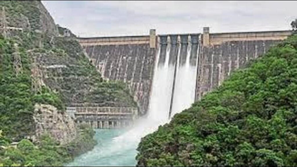 Bhakra dam: AAP protests against BJP in Punjab over BBMB releasing more water to Haryana