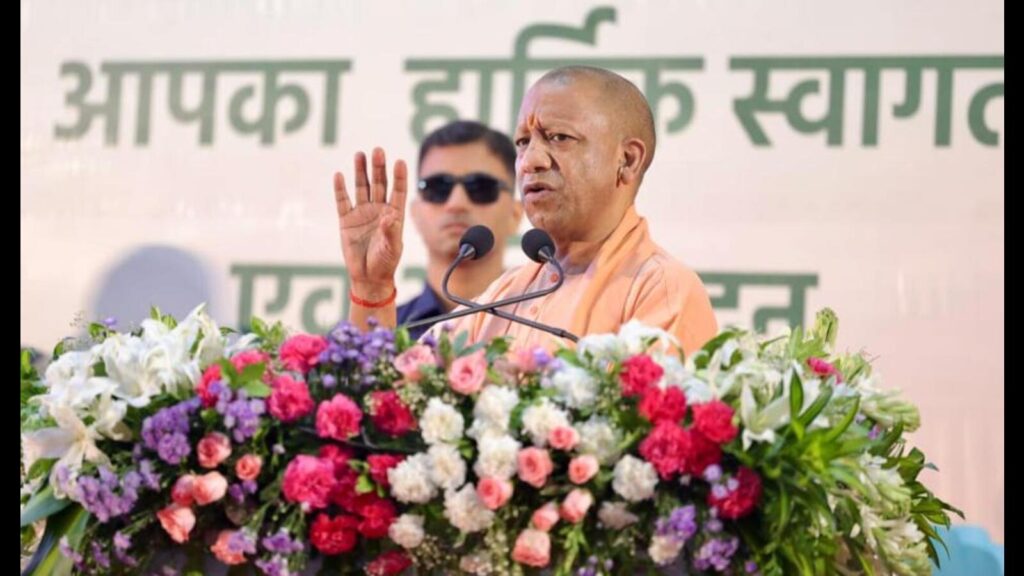 Biodiversity conservation collective responsibility: Yogi