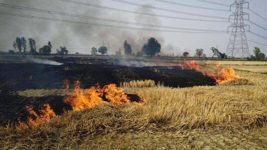 CAQM unveils 19-point plan to stamp out stubble burning in Delhi-NCR | Latest News Delhi