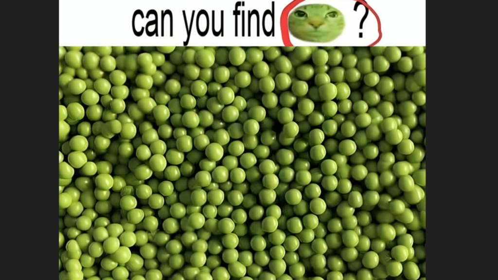 Can you spot the hidden cat in this tricky image? This optical illusion will leave you scratching your head | Trending