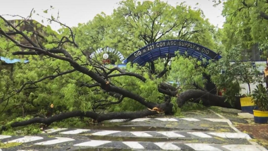 DFS gets 80+ calls as storm leaves a trail of destruction | Latest News Delhi