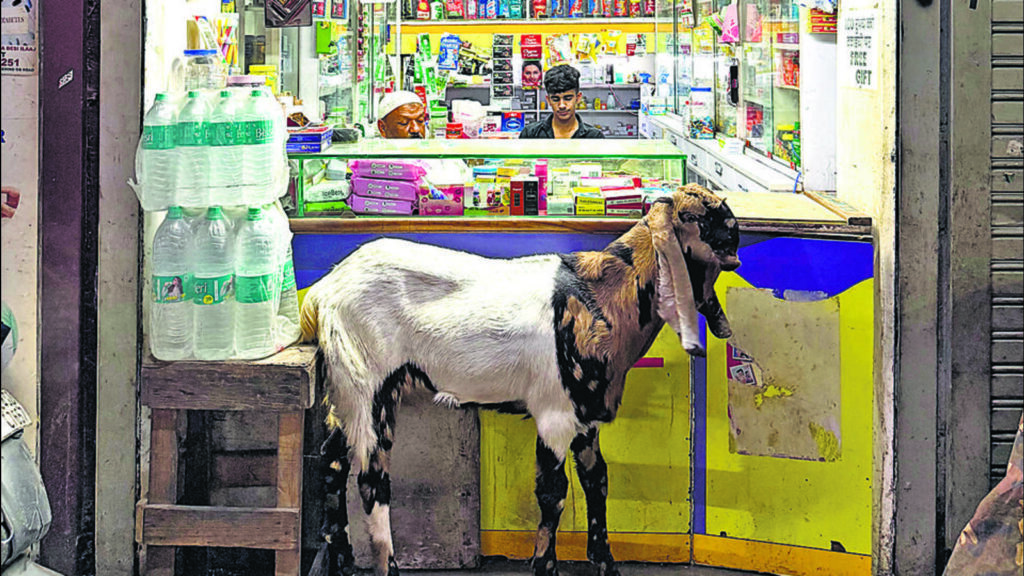 Delhiwale: This way to Mohalla Niyaryan, part 2 | Latest News Delhi