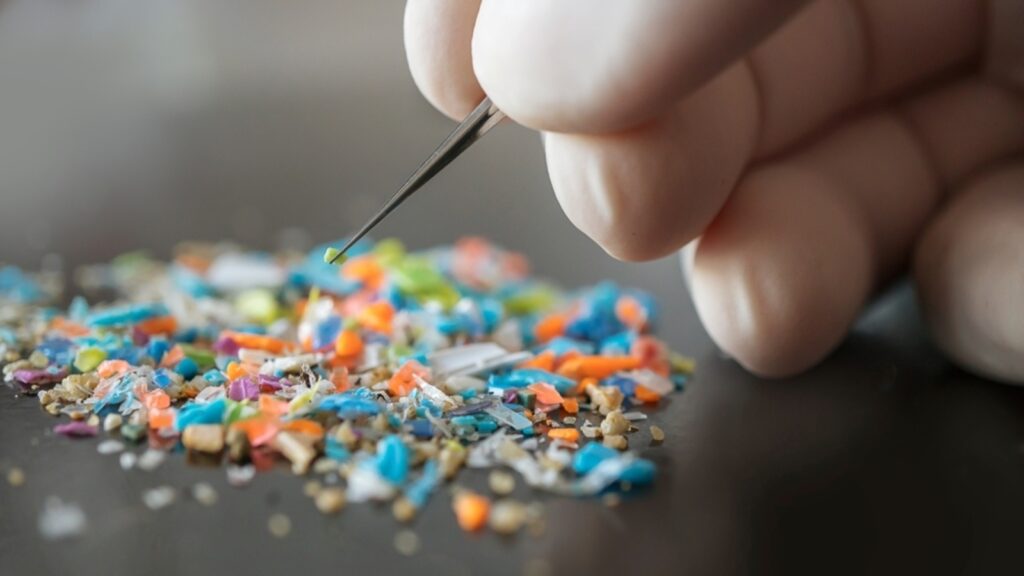 Doctor shares 7 easy ways to reduce your microplastic exposure on a daily basis | Health