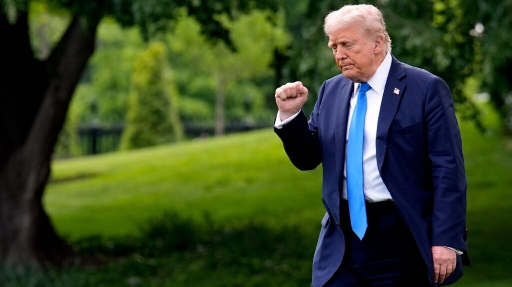Donald Trump team mulls suspending habeas corpus to speed deportations; What is it?