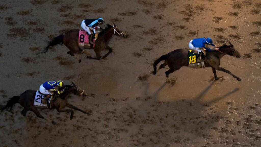 Dubai ruler’s colt Sovereignty wins 2025 Kentucky Derby, ending drought for Godolphin | Trending