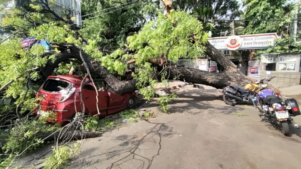Dust, hailstorms & rain in Delhi: Uprooted trees, power cuts, traffic jam disrupt life | Pics