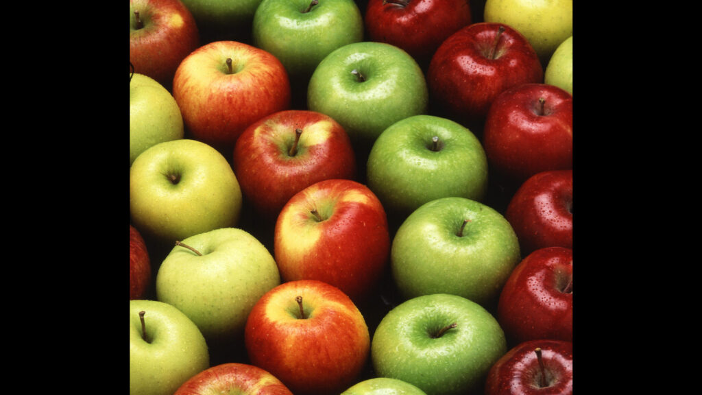 Fadnavis backs Turkiye apple boycott as Pune traders claim threat from Pakistan