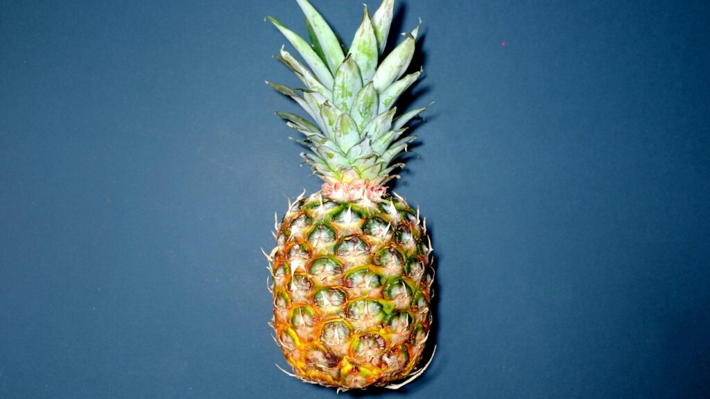 Feeling constipated? Doctor shares 6 fruits that ‘actively support your digestive system’ | Health
