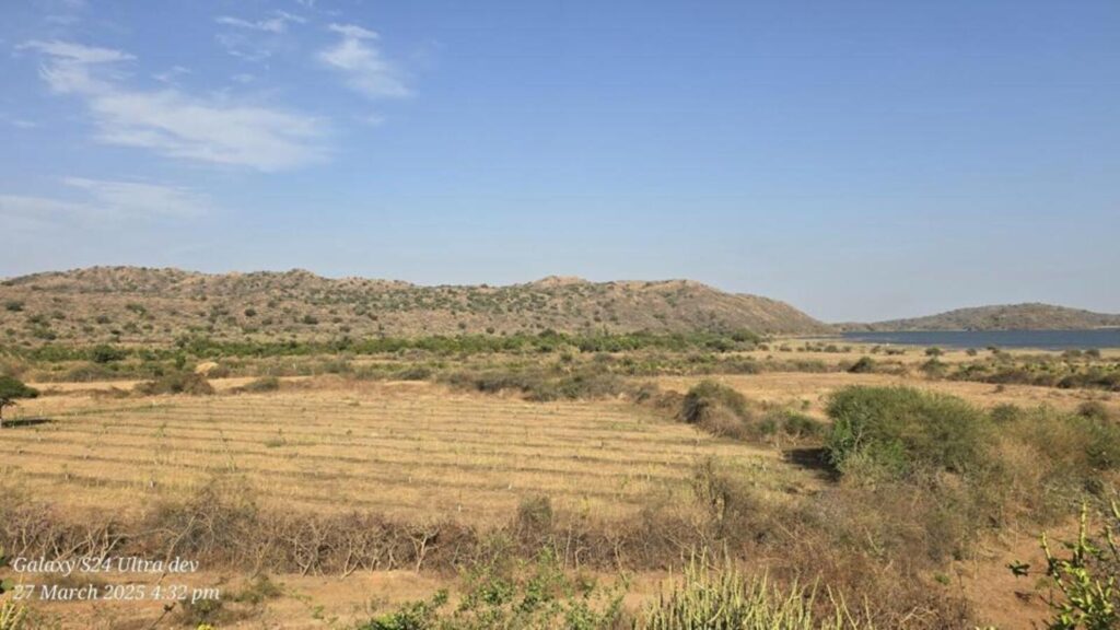 Forest dept says it cleared encroachment in Barda, proposed home for Asiatic lions