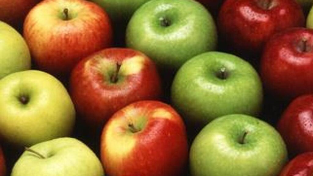 Fruit traders in Maharashtra’s Vashi halt apple imports from Turkey | Mumbai news