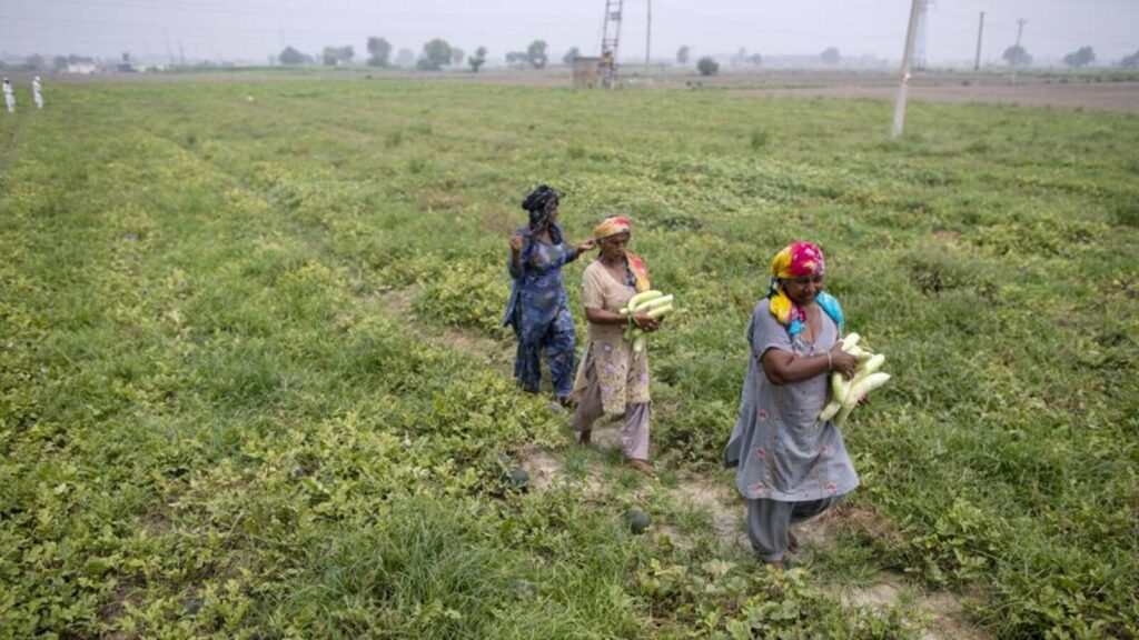 Haryana launches AI-enabled water atlas amid alarming groundwater crisis