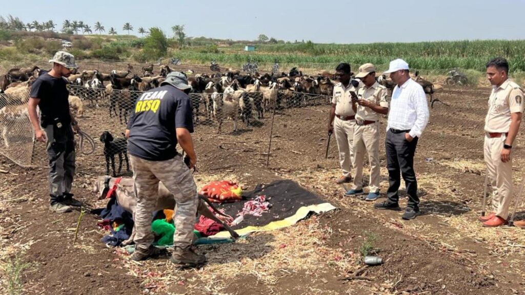 Hunt for elusive leopard continues at Pune airport; probe on in Daund baby death case