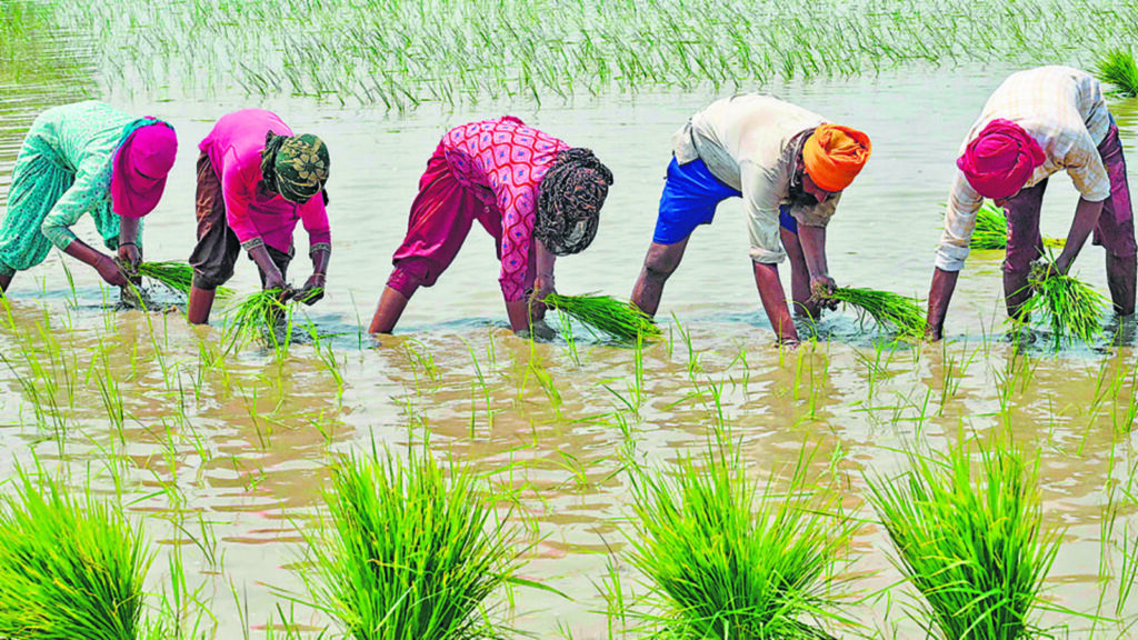 Indian agriculture’s response to global warming