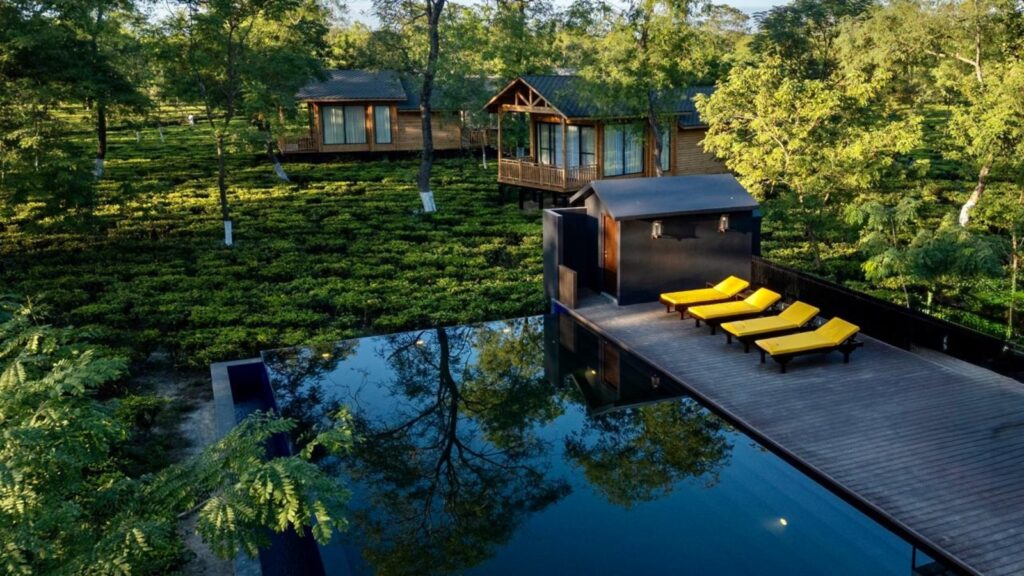 #InternationalTeaDay:Where tea tells a story