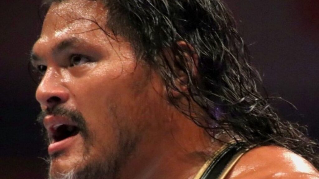 Jeff Cobb debuts at WWE Backlash 2025, helps Jacob Fatu retain