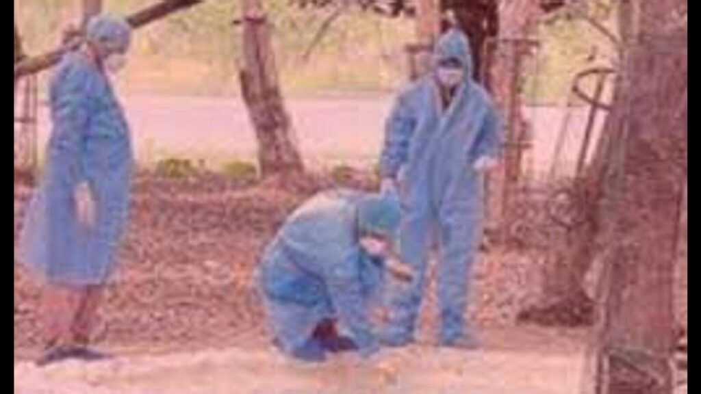Kanpur Zoo: Bird flu scare triggers protocol review, over 300 samples sent for testing