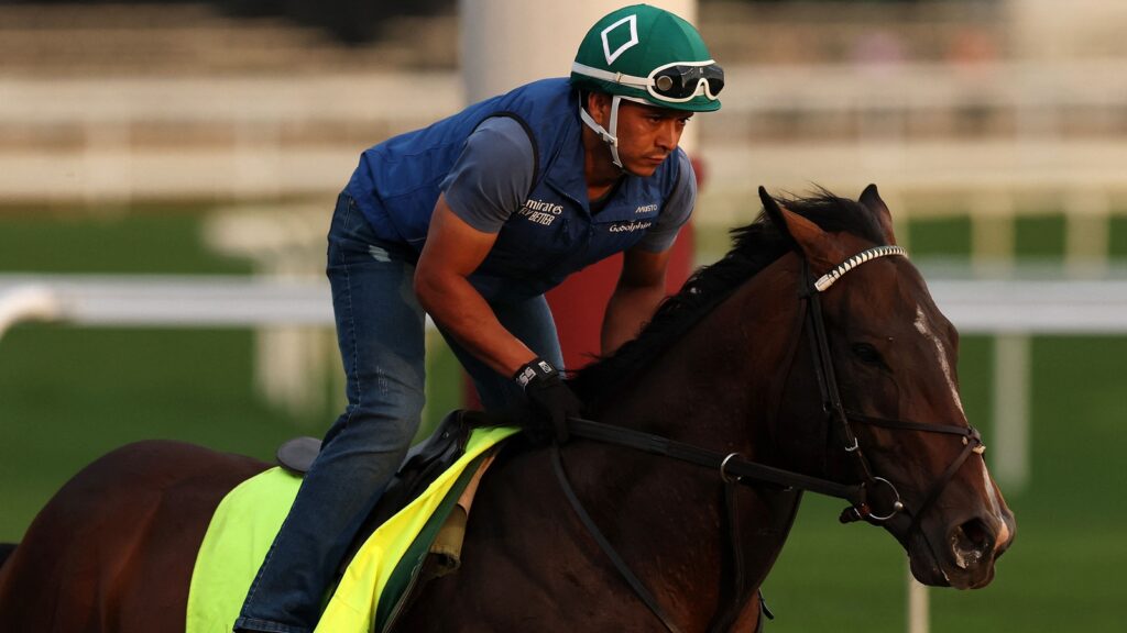 Kentucky Derby: All on Sovereignty’s jockey Junior Alvarado, trainer and owner – Details