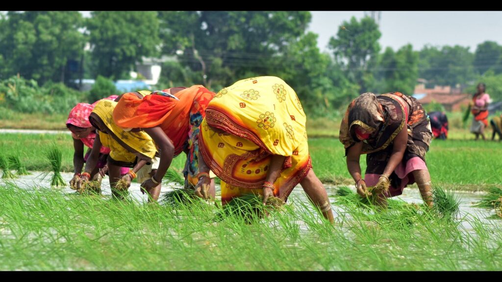 Krishi Sakhis to drive natural farming push in Prayagraj
