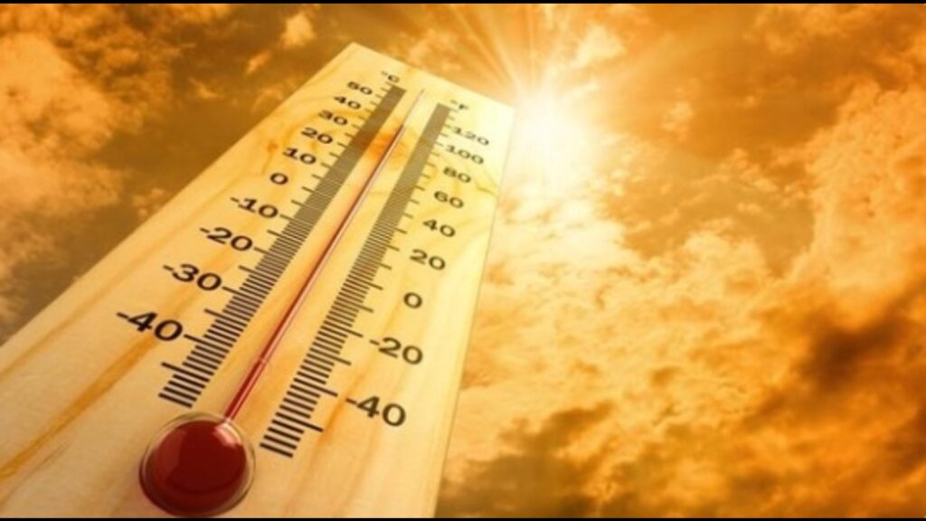 LMC’s water points, cooling zones to protect citizens from heat