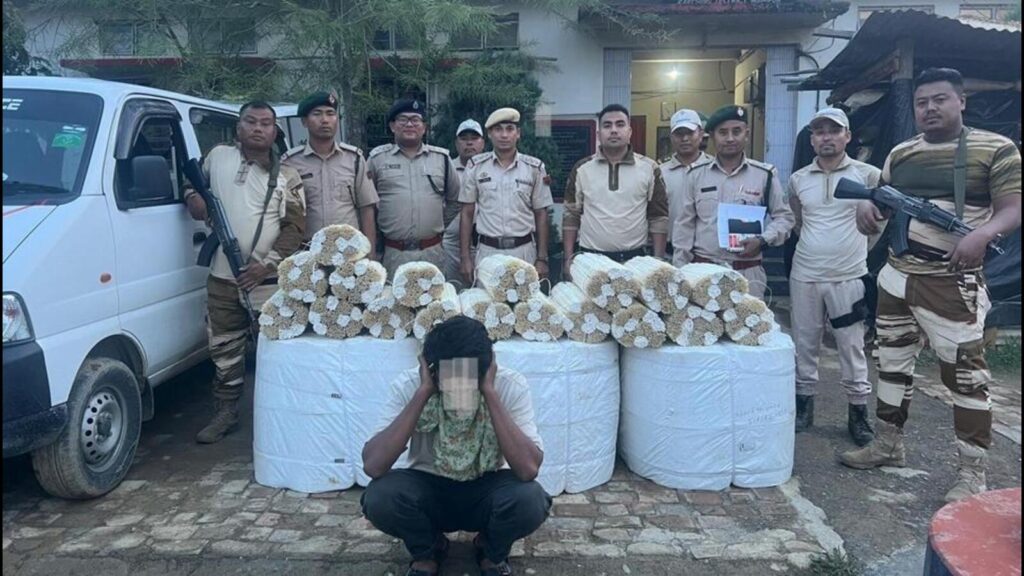 Manipur: Man held while smuggling 72,000 peacock feather shafts to Myanmar