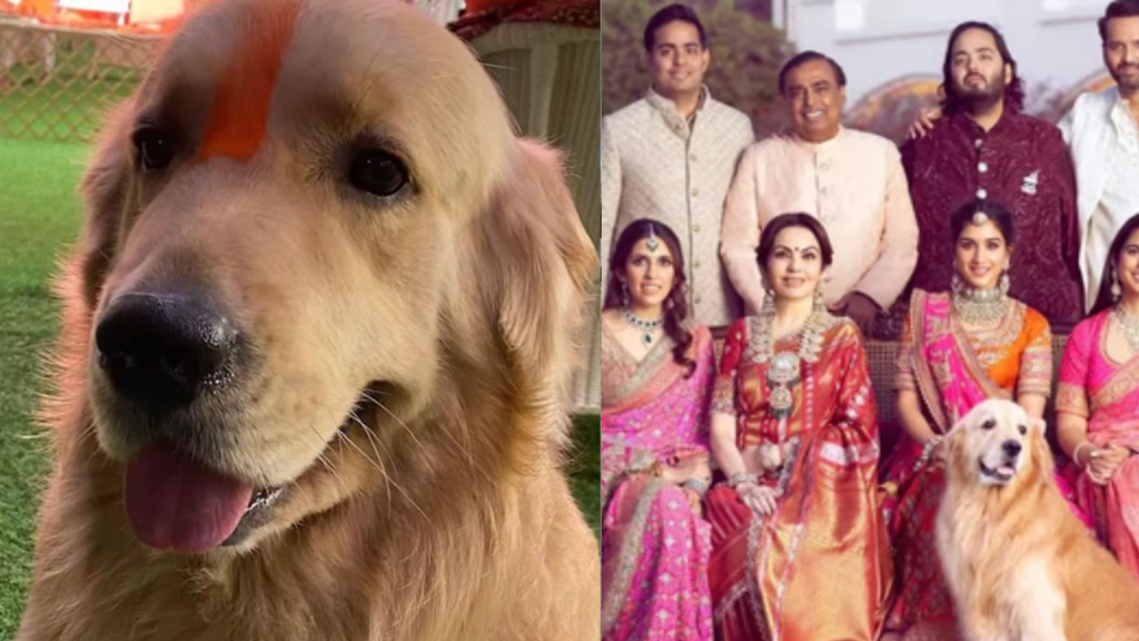Nita Ambani’s emotional speakerphone message to Mumbai Indians: ‘We lost our dog Happy last night’ | Trending