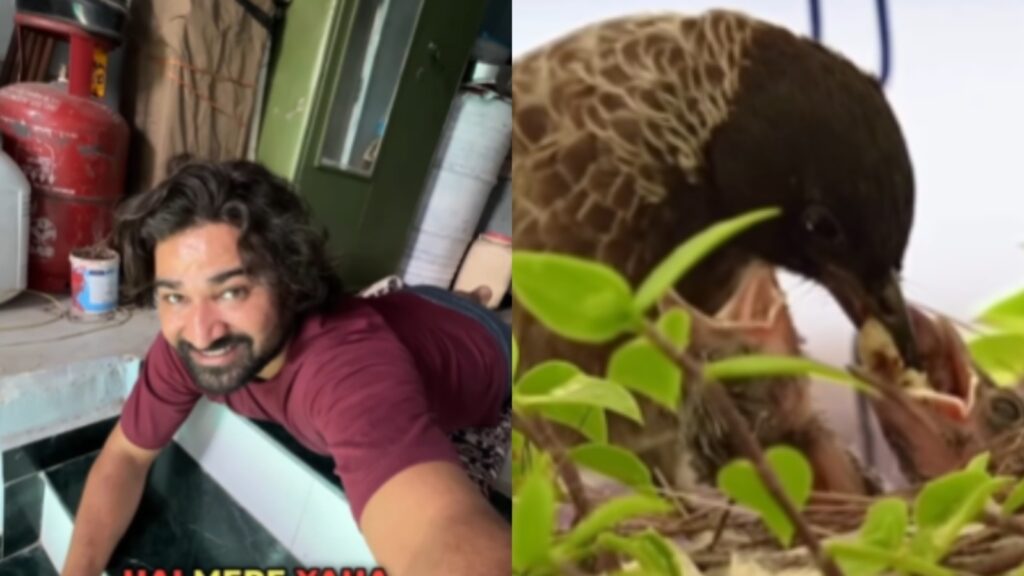 Photographer waits 2 hours to capture heartwarming moment of bird feeding her babies: ‘Maa to maa hoti hai’ | Trending