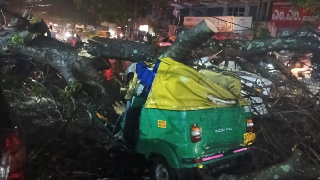 Pre-monsoon showers drench Bengaluru, man killed after tree falls on vehicle | Bengaluru