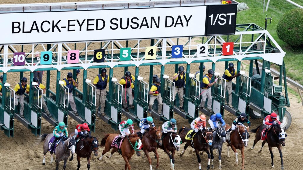 Preakness Stakes 2025: Glamour, fierce races, and palpating excitement at Black-Eyed Susan Day | See Photos