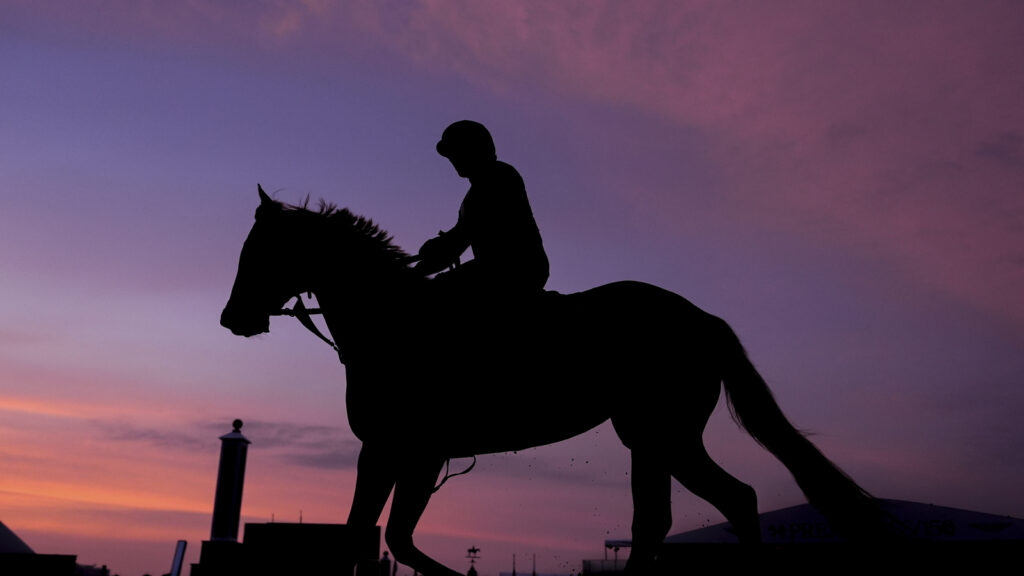 Preakness Stakes 2025 prize money: How much does the winner take home?