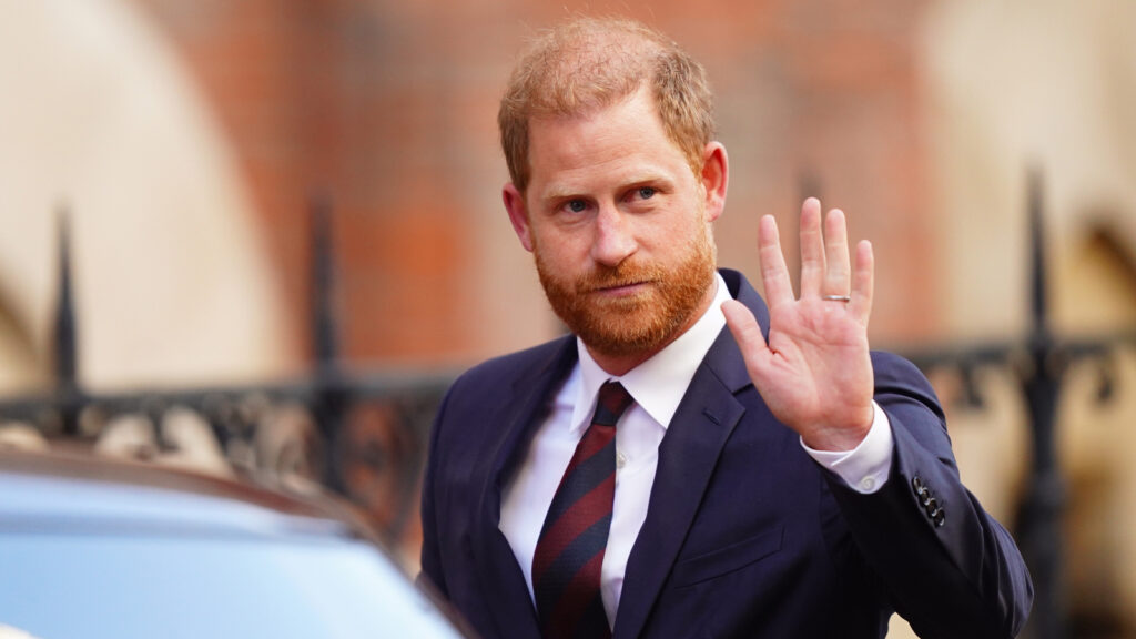 Prince Harry urges review of royal security body after losing court appeal | World News