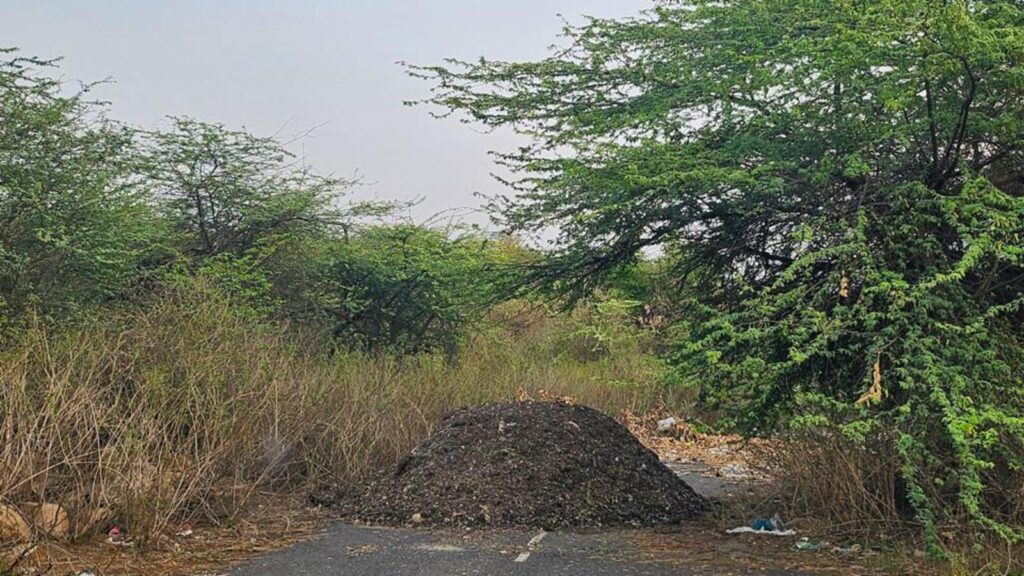 Pvt agency under lens for illegally dumping waste in Mangar forest