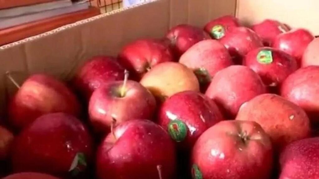 Rajasthan fruit sellers boycott Turkish apples