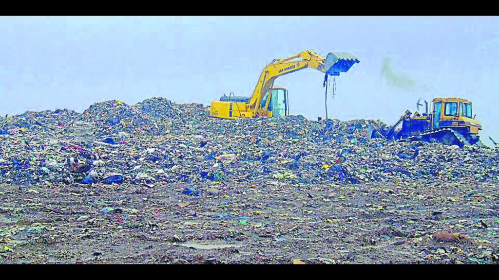 Restore Kanjur dump to mangrove forest within 3 months: HC to BMC | Mumbai news