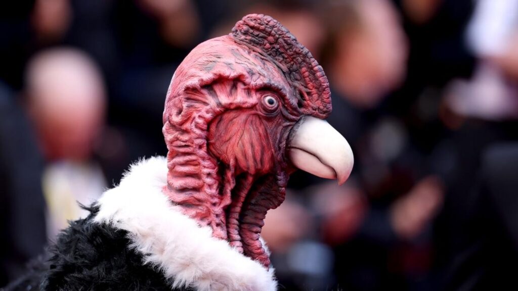 Robert Pattinson and Jennifer Lawrence’s 2025 Cannes Film Festival premiere got hijacked by a giant bird man; read