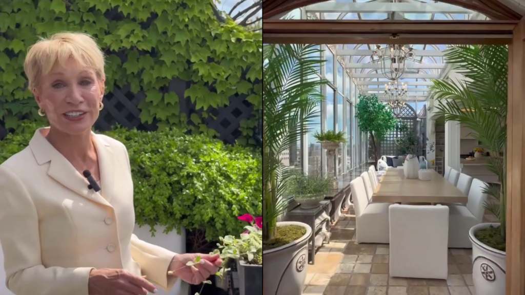 Shark Tank’s Barbara Corcoran finds a buyer within 24 hours for exquisite M NYC penthouse | Trending