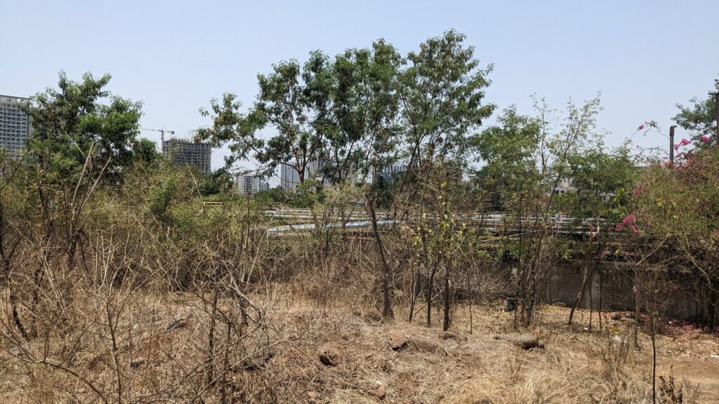 State govt gives nod for diversion of reserve forest land for road projects in Pune