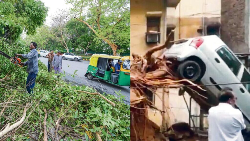Storm fallout: Delhiites, are uprooted trees damaging your cars and calm? Here’s what you can do