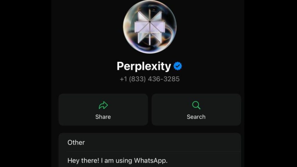 Tackling scams, misinformation: Deep dive into Perplexity’s WhatsApp bot proposition
