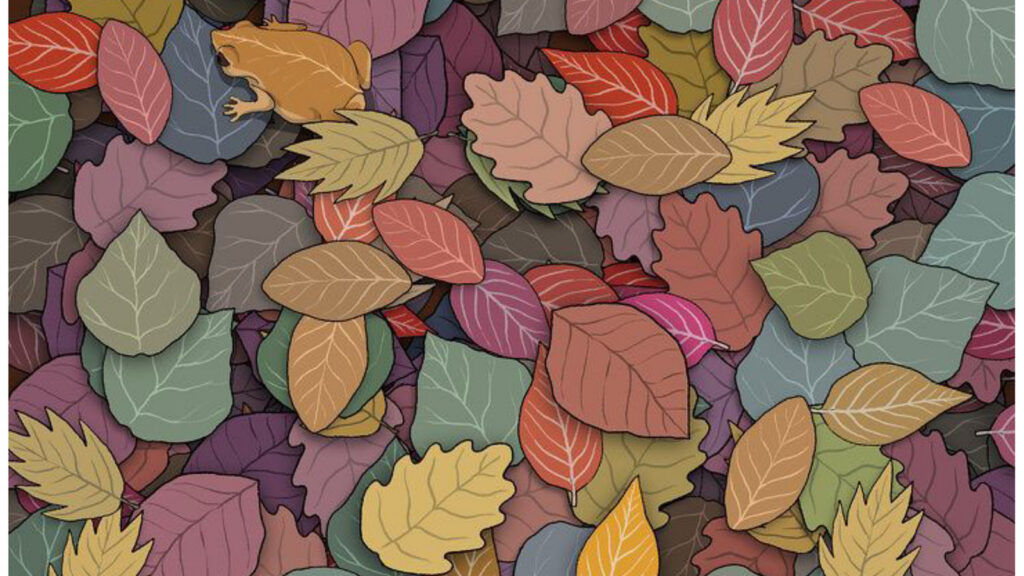 Test your eye for detail: Can you spot the hidden frog in this challenging optical illusion? | Trending