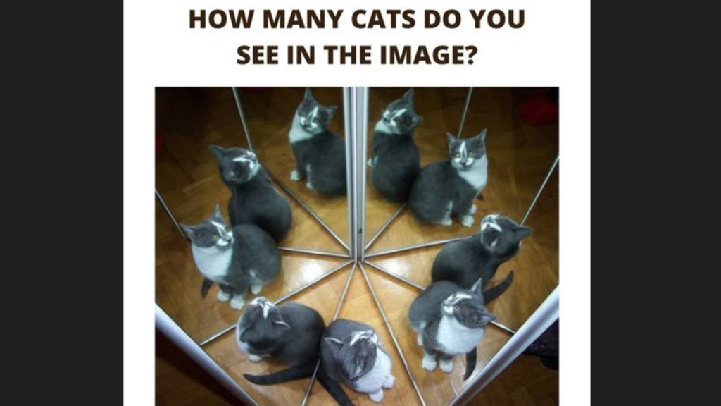 Think your eyesight is perfect? Count all the cats in this tricky optical illusion to prove it | Trending