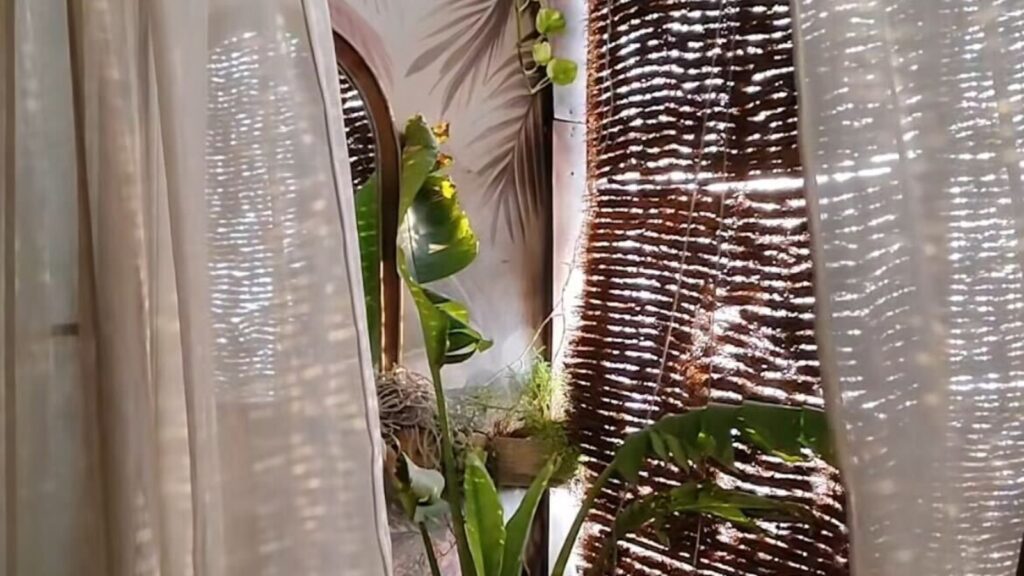 This summer beat the heat and elevate your interior with khus curtains