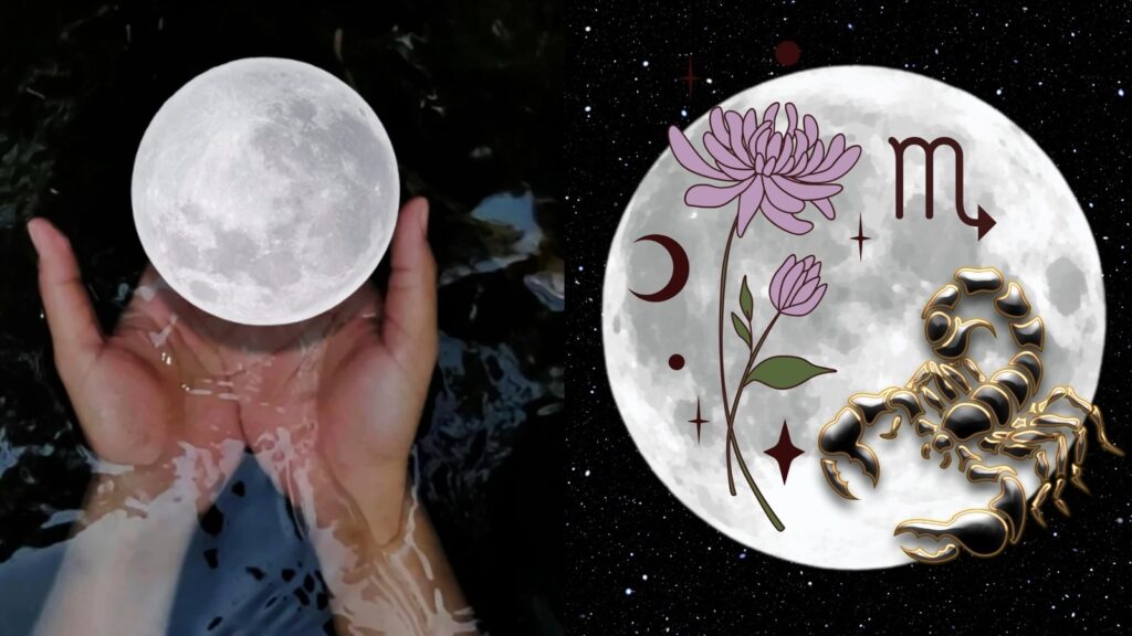 Today’s Scorpio Full Flower Moon promises to reveal well-kept secrets! What to expect based on your zodiac sign