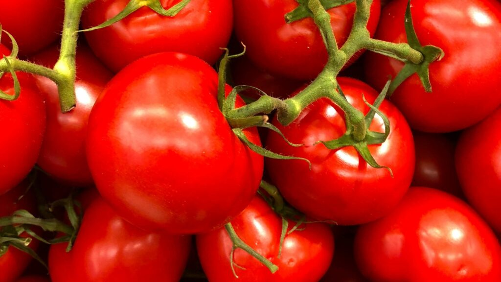 Tomatoes recalled across 14 US states due to possible salmonella contamination