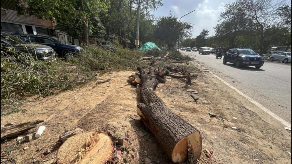 Tree felling near Sector 43 sparks outcry, audit demand