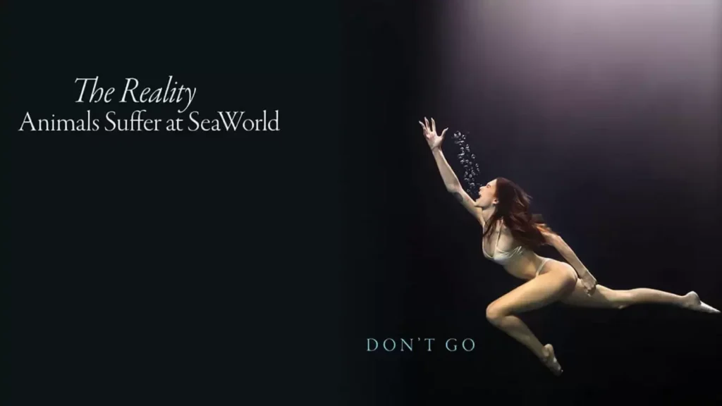 Vanderpump Rules star Lala Kent calls for SeaWorld boycott in dramatic PETA ad: ‘It just devastates me’